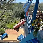 Peaceful Holidays In *