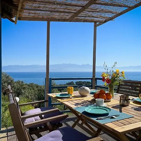 Peaceful Holidays In *