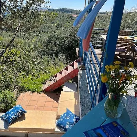 Peaceful Holidays In *